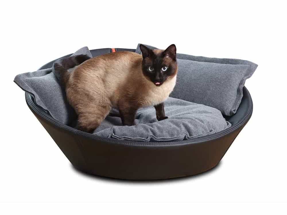 Siam Kater thront im Katzenkorb aus schwarzem Rindsleder von pet-interiors.